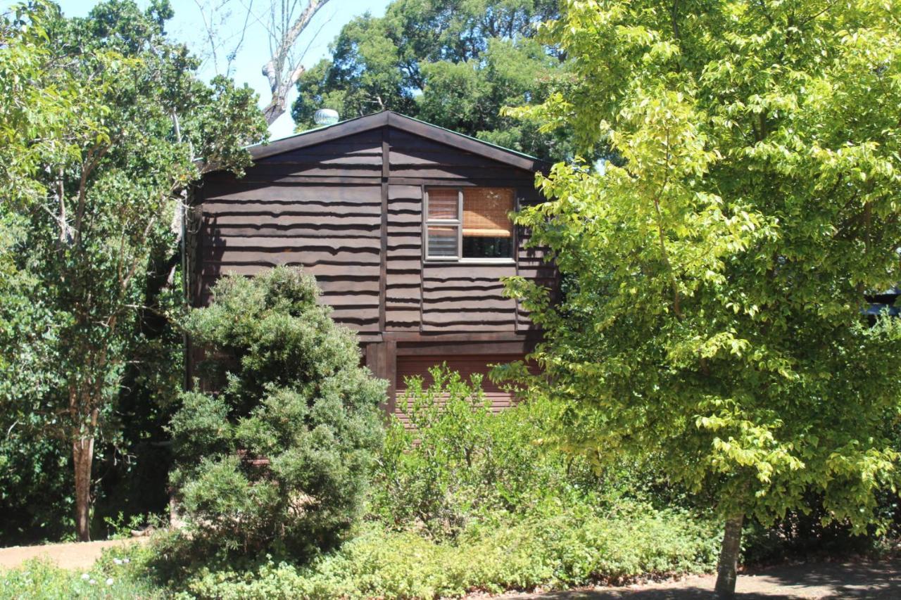 Treehouse Cottage The Crags Екстериор снимка